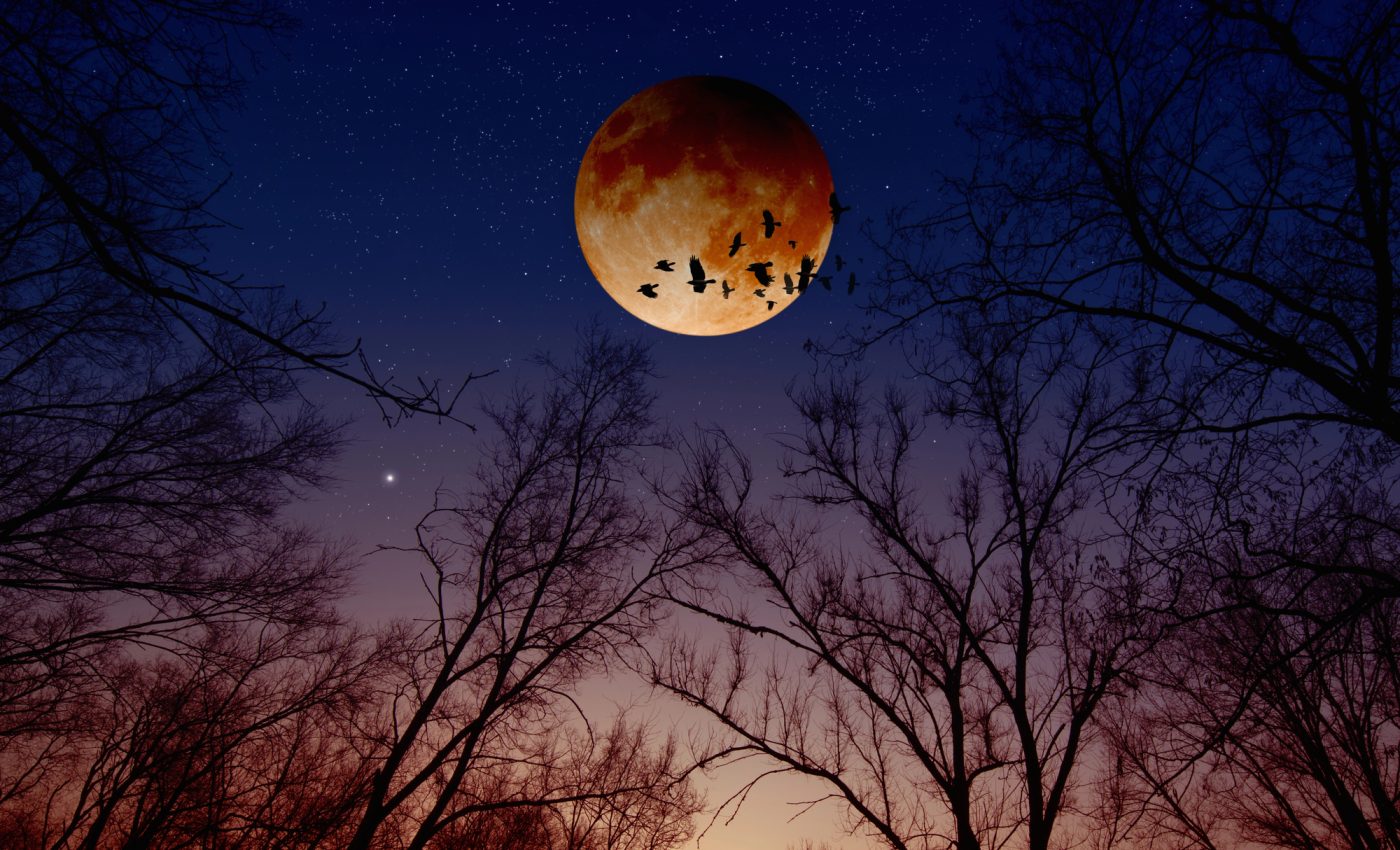 Efectele unei ECLIPSE LUNARE