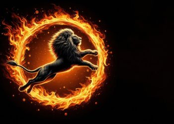 Se deschide PORTALUL LEULUI 8.8