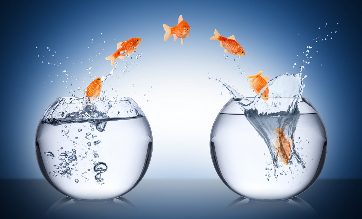 Schimbări MAJORE pentru zodii