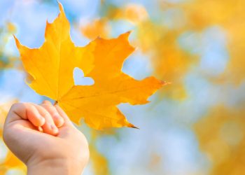 ZODII ale căror RELAȚII se îmbunătățesc până la finalul lunii SEPTEMBRIE - SFATULPARINTILOR.RO - Depositphotos_401150160_L