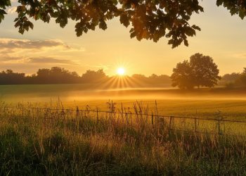 ZODII șansa unui nou început