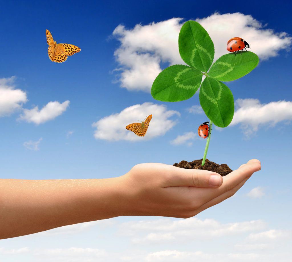 Mercur în Fecioară ZODII șansa vieții lor