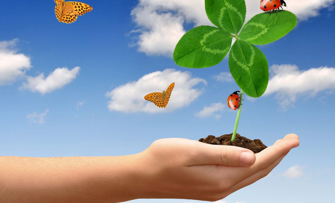 Mercur în Fecioară ZODII șansa vieții lor