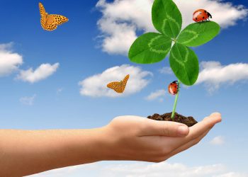 Mercur în Fecioară ZODII șansa vieții lor