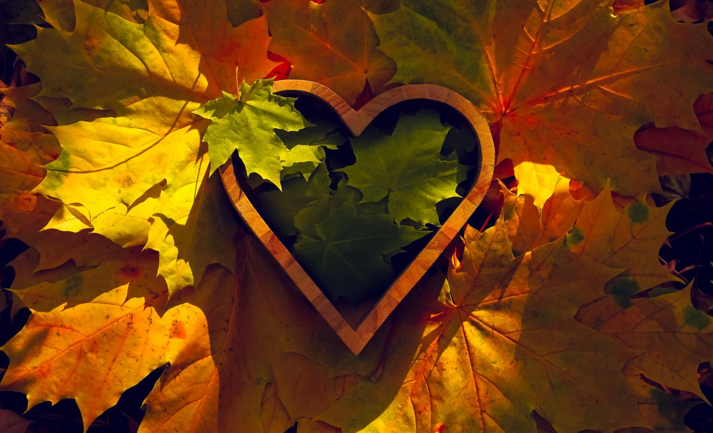 DRAGOSTEA profundă 5 ZODII