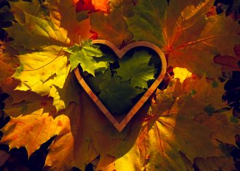 DRAGOSTEA profundă 5 ZODII