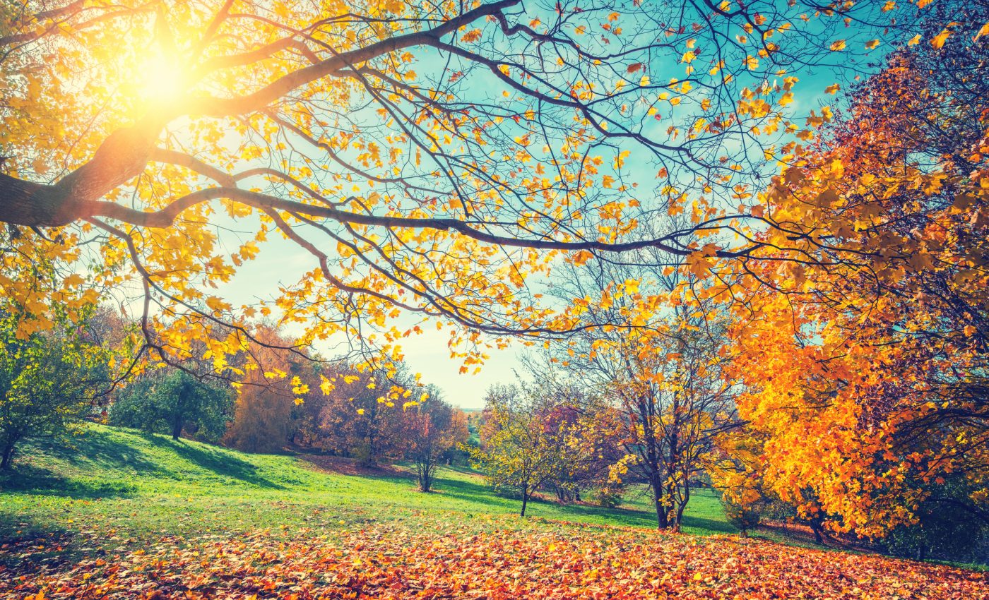 Evenimente astrologice NOIEMBRIE 2025. Cum facem față celor 3 RETROGRADE. Ce teme ne dă luna noiembrie tuturor