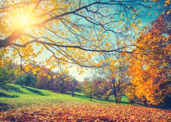 Evenimente astrologice NOIEMBRIE 2025. Cum facem față celor 3 RETROGRADE. Ce teme ne dă luna noiembrie tuturor