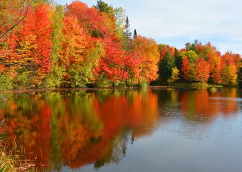 Horoscopul tău pentru LUNA noiembrie 2025