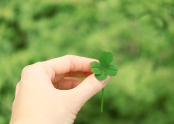 NOROC 3 ZODII la finalul săptămânii