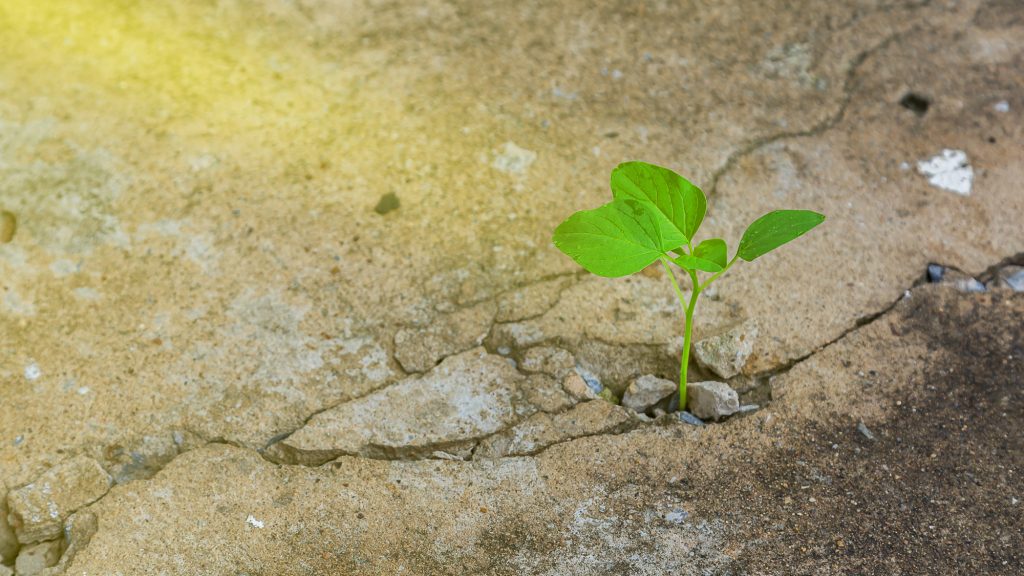 ZODII care NU pot fi oprite în OCTOMBRIE 2025