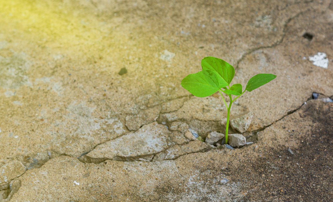 ZODII care NU pot fi oprite în OCTOMBRIE 2025