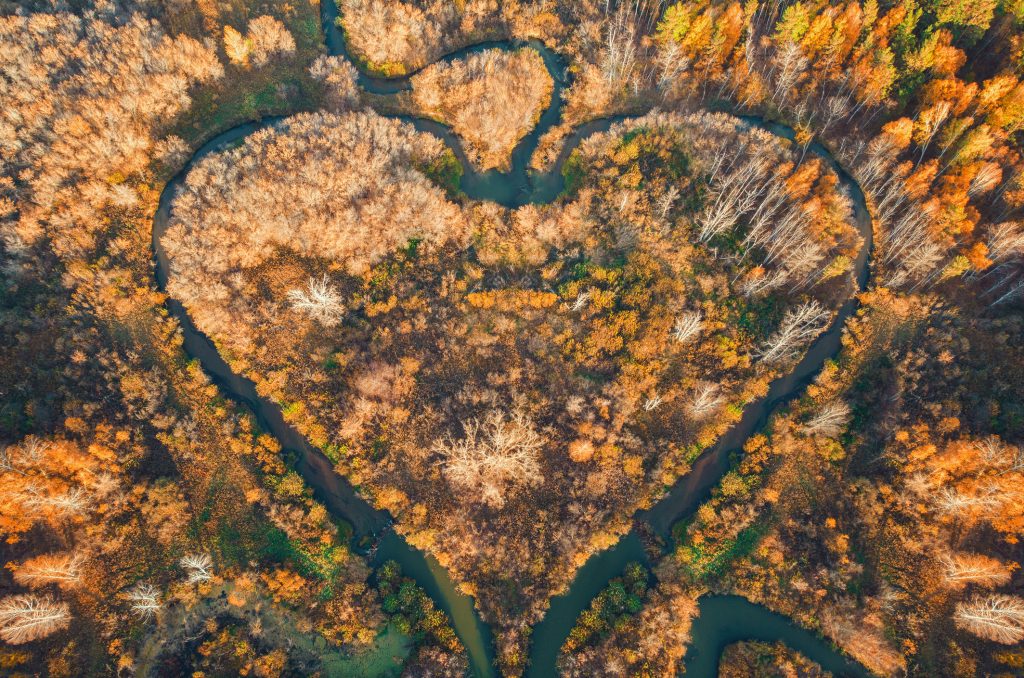 DRAGOSTEA profundă ZODII