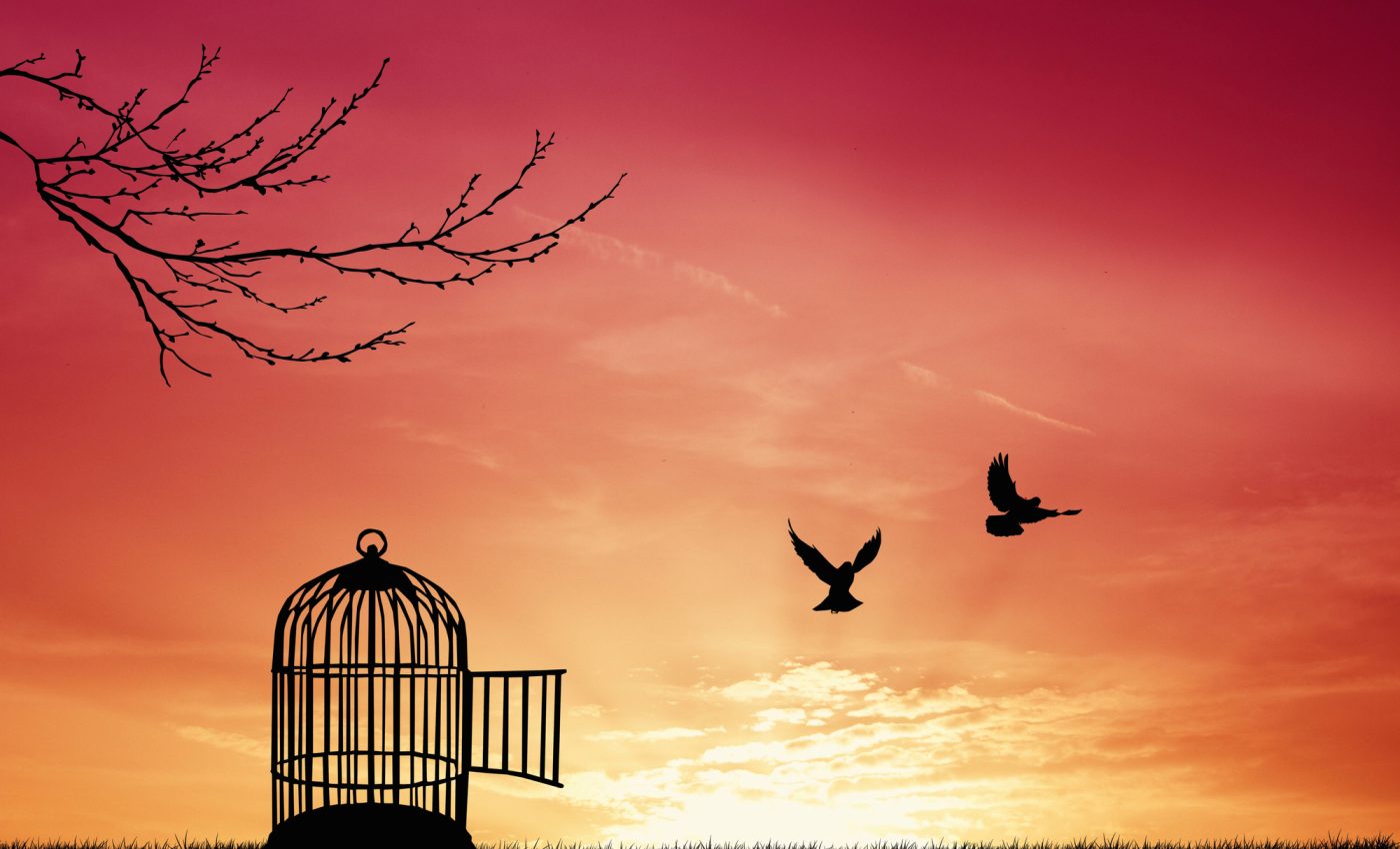 3 ZODII intră în cea mai BUNĂ perioadă