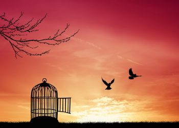 3 ZODII intră în cea mai BUNĂ perioadă