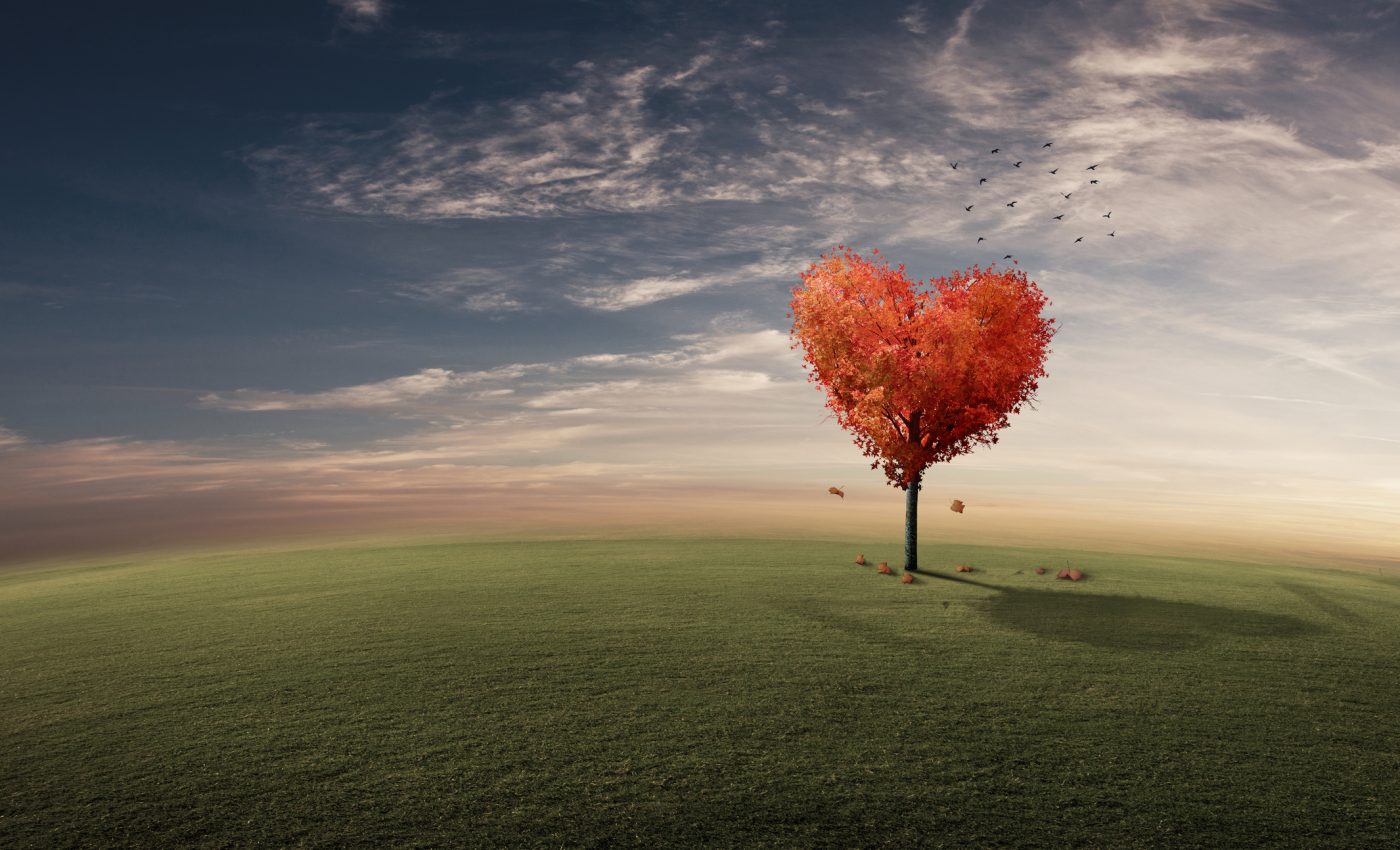 DRAGOSTEA 5 ZODII în NOIEMBRIE 2025