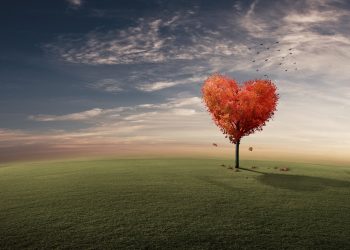 DRAGOSTEA 5 ZODII în NOIEMBRIE 2025