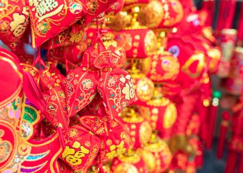 ZODII CHINEZEȘTI atrag NOROCUL NOIEMBRIE 2025