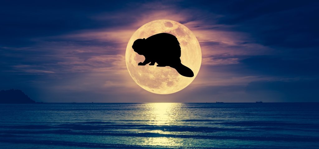 cea mai STRĂLUCITOARE Lună plină