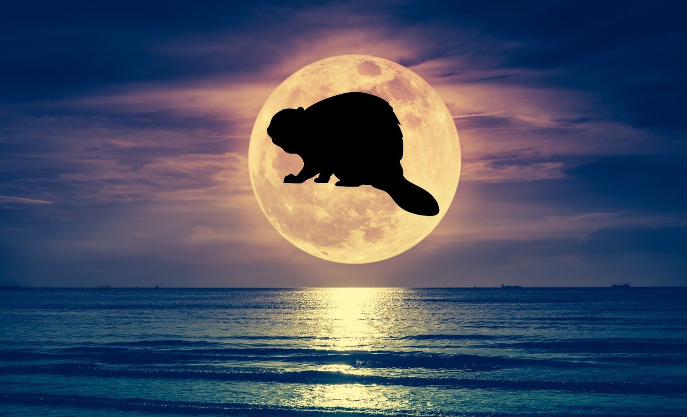 cea mai STRĂLUCITOARE Lună plină