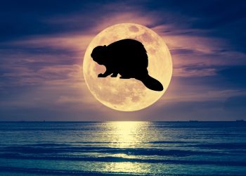 cea mai STRĂLUCITOARE Lună plină