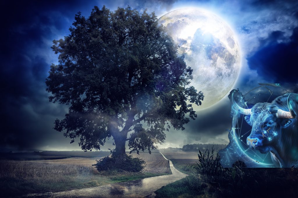 Luna Plină în Taur din 5 noiembrie 2025