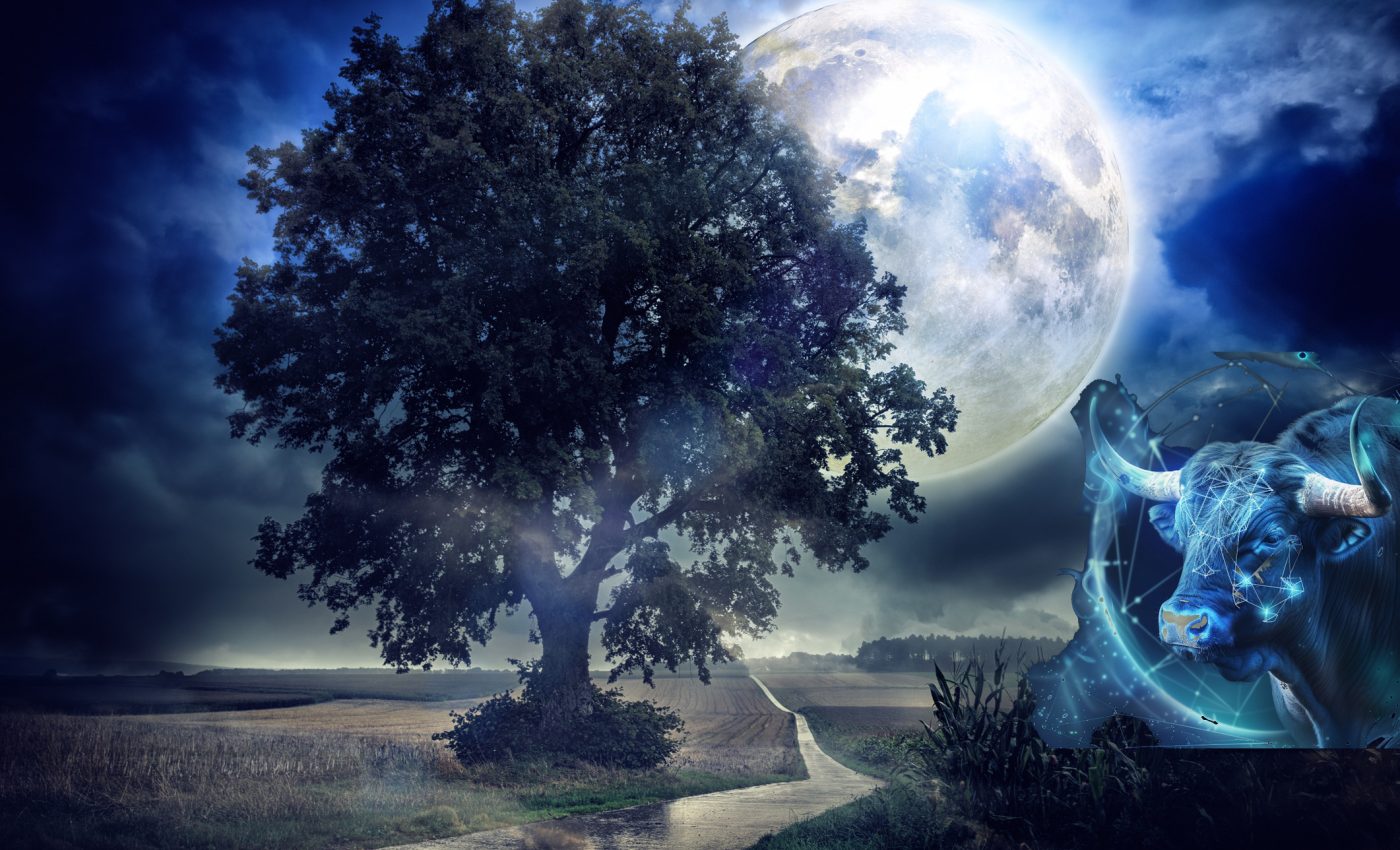 Luna Plină în Taur din 5 noiembrie 2025