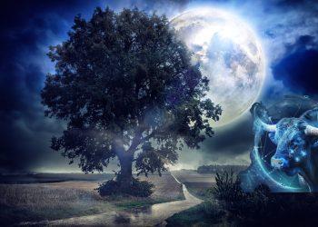 Luna Plină în Taur din 5 noiembrie 2025