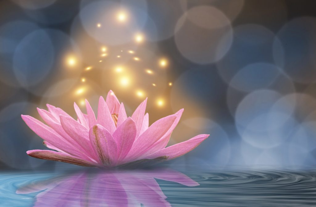 O zi din noiembrie îți poți rescrie TOTAL anul 2026