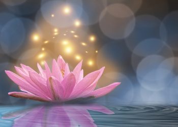 O zi din noiembrie îți poți rescrie TOTAL anul 2026