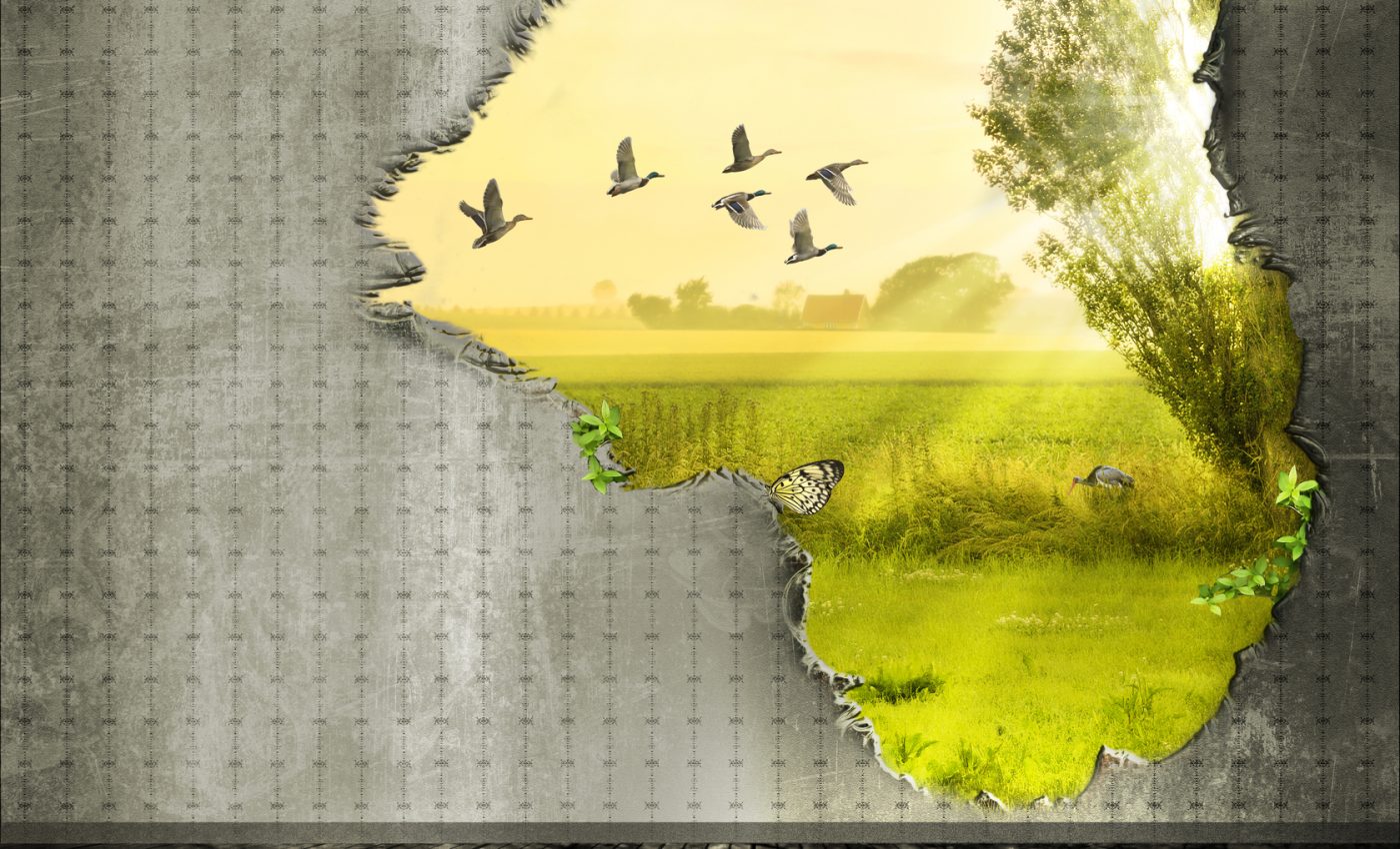 ZODII DEZAMĂGIRE noiembrie