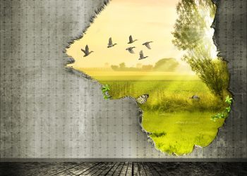 ZODII DEZAMĂGIRE noiembrie