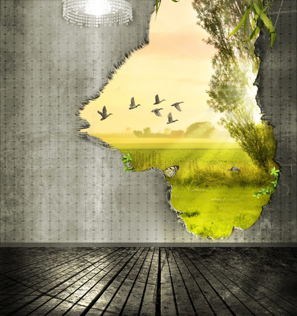 ZODII DEZAMĂGIRE noiembrie