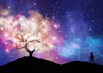 ZODII care vor străluci în 2026