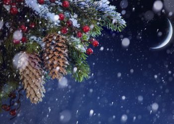 ID 27332721 © Konstanttin | Dreamstime.com