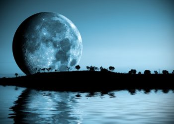 Horoscopul lunii FEBRUARIE 2026