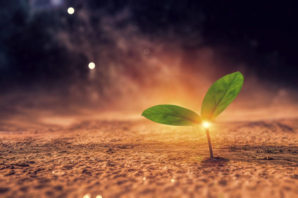 LUNI DE NAȘTERE reinventează 2026