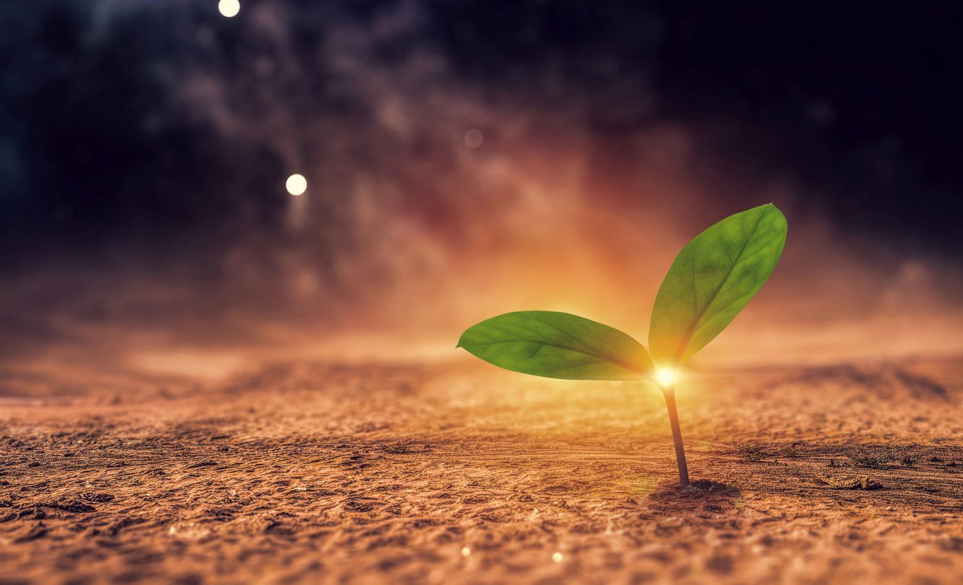 LUNI DE NAȘTERE reinventează 2026