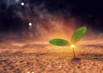 LUNI DE NAȘTERE reinventează 2026