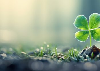 NOROCUL pentru fiecare ZODIE 2026