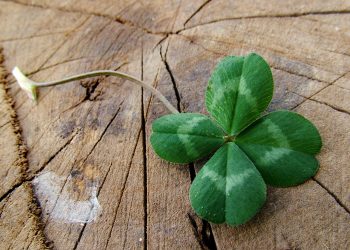 NOROCUL  se activează pentru aceste 5 ZODII