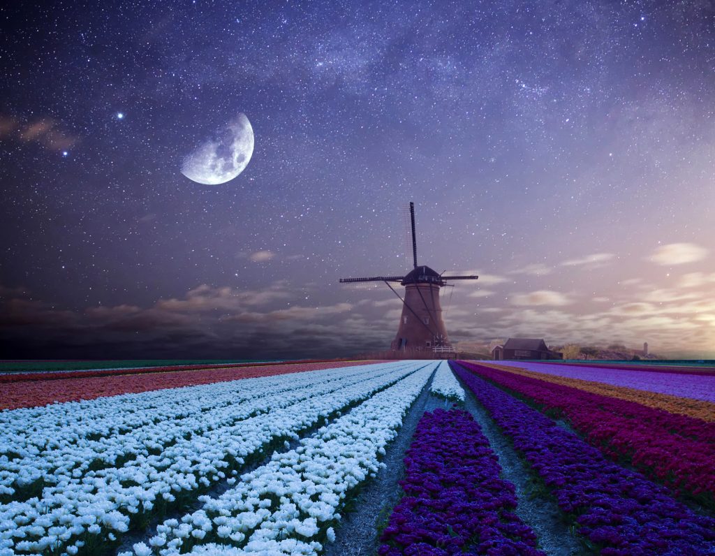 ZODII NOROC și abundență APRILIE 2026