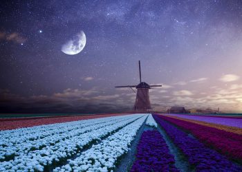 ZODII NOROC și abundență APRILIE 2026