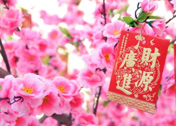 să fie ATENTE aceste ZODII CHINEZEȘTI