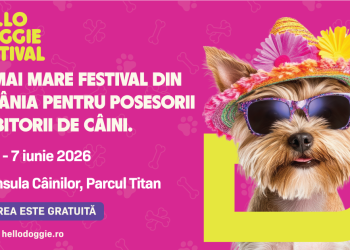 Hello Doggie Festival