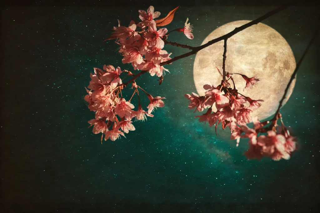 Luna Plină a Florilor din 1 mai