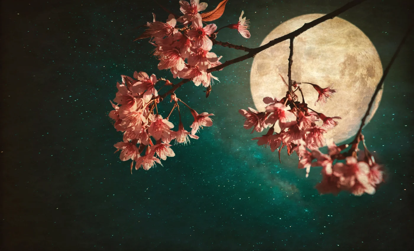 Luna Plină a Florilor din 1 mai