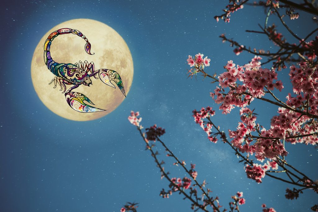 Horoscop special Luna plină a Florilor mai 2026