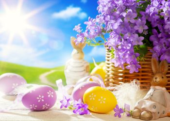 vibratia zilei 12 aprilie 2026