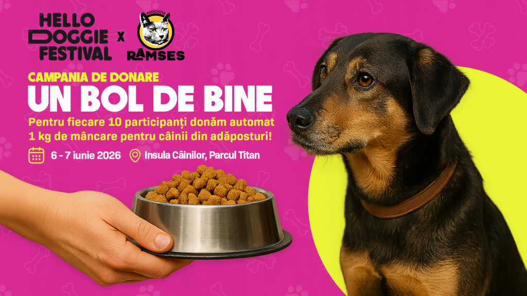 Hello Doggie Festival